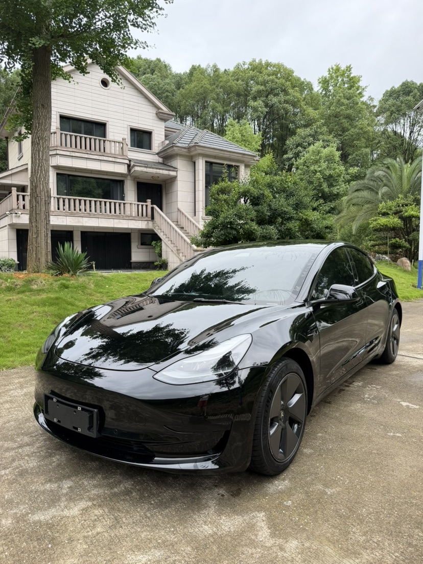 Tesla Model 3 2021 car image 
