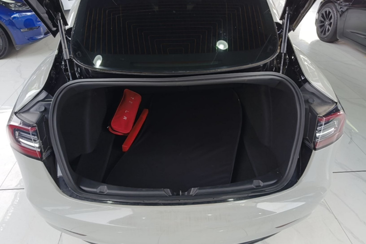 Tesla Model 3 2020 #19 Tesla Model 3 2020 صورة سيارة #19