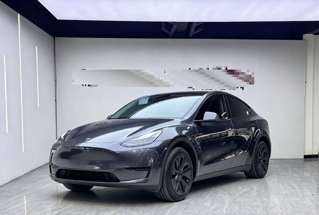 Tesla Model Y 2024 car image #2