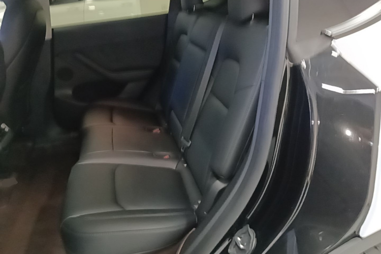 Tesla Model Y 2023 #17 Tesla Model Y 2023 car image #17