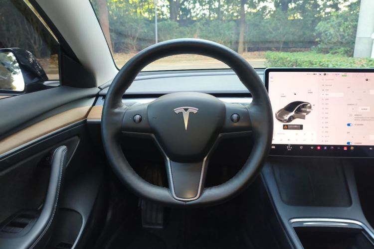 Tesla Model 3 2021 #11 Tesla Model 3 2021 immagine di auto #11