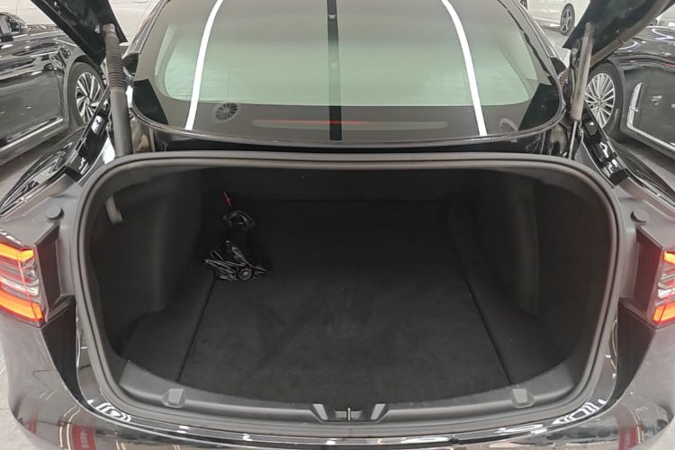 Tesla Model 3 2021 #19 Tesla Model 3 2021 immagine di auto #19