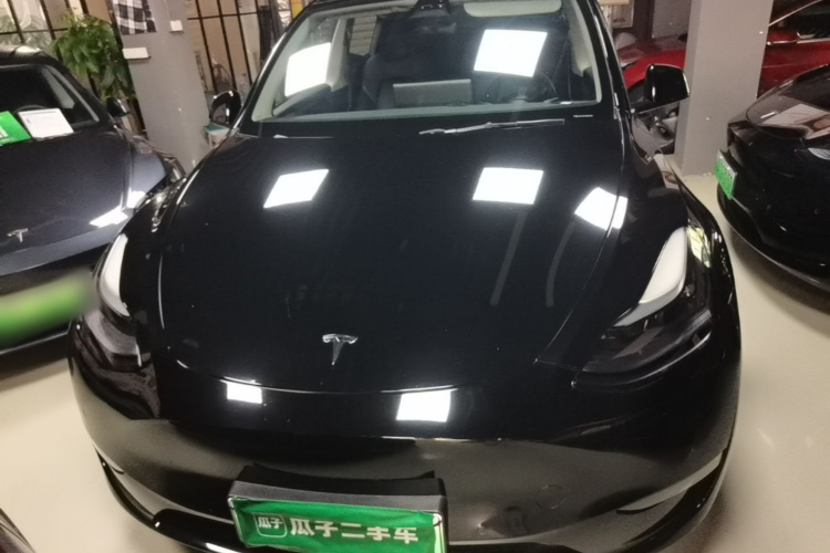 Tesla Model Y 2021 #3 Tesla Model Y 2021 car image #3