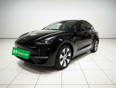 Tesla Model Y 2021 Tesla Model Y 2021 car image