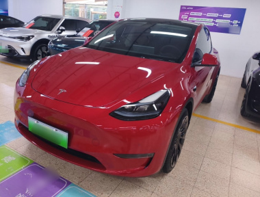 Tesla Model Y 2023 car image 