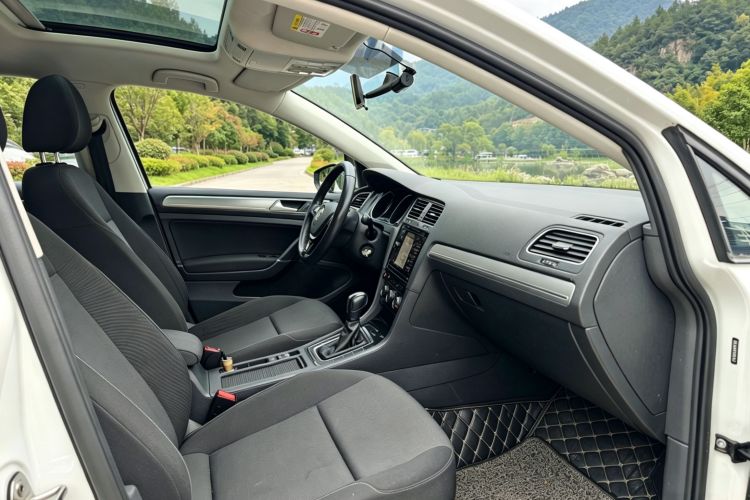 Volkswagen Golf 2019 #9 Volkswagen Golf 2019 car image #9