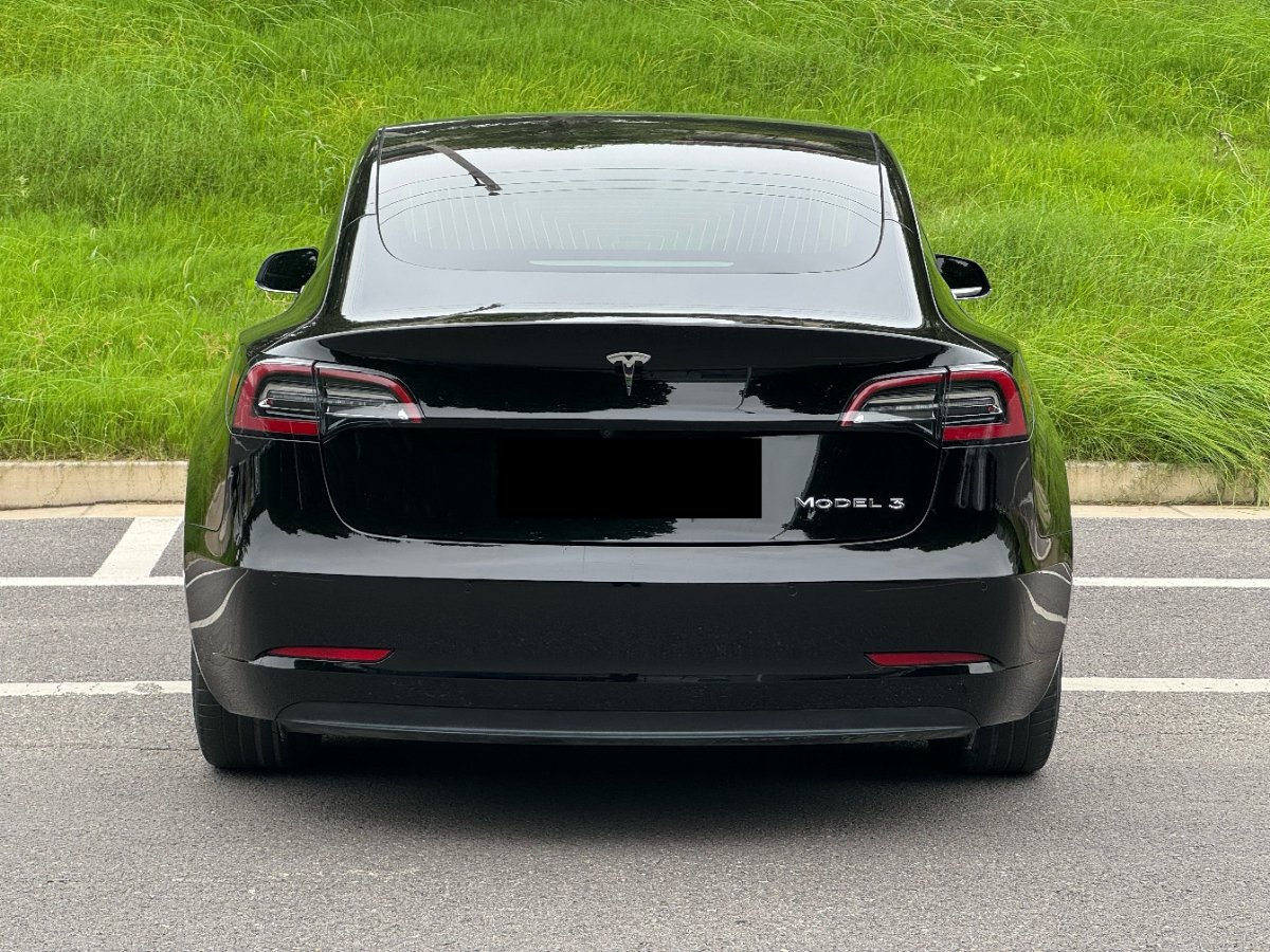Tesla Model 3 2021 #13 Tesla Model 3 2021 car image #13