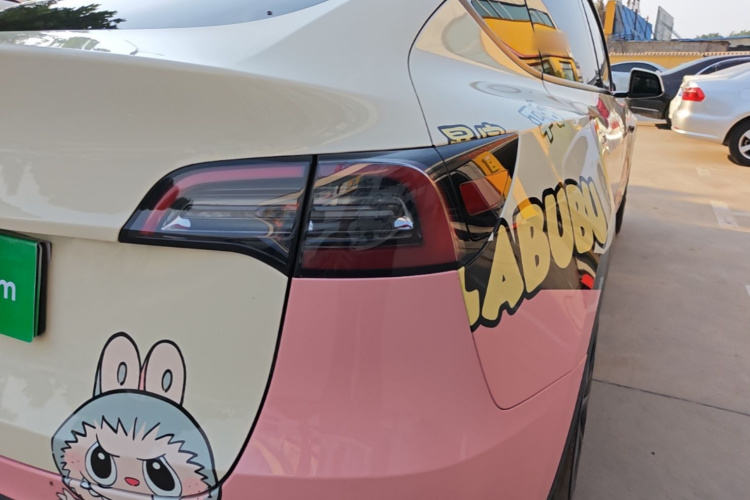 Tesla Model Y 2021 car image #8