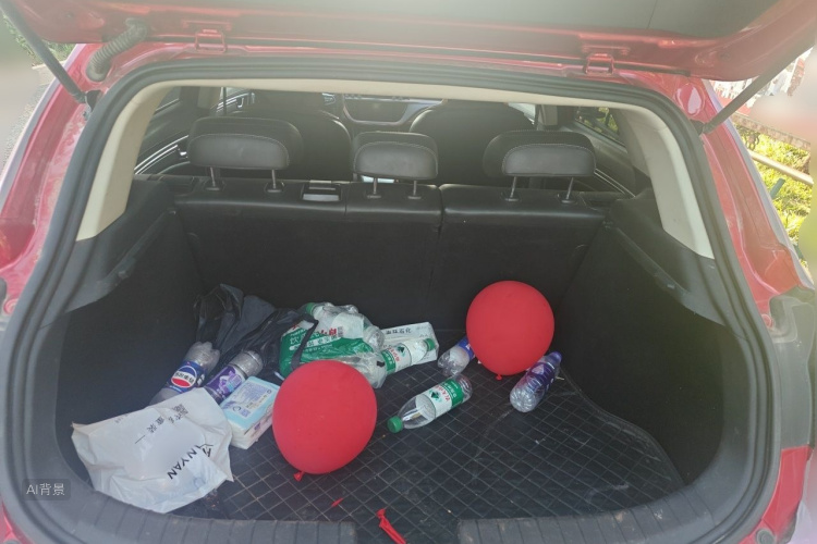 GEELY Emgrand GS 2019 car image #21