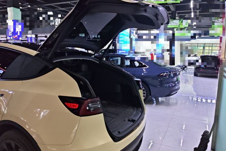 Tesla Model Y 2021 #21 Tesla Model Y 2021 car image #21