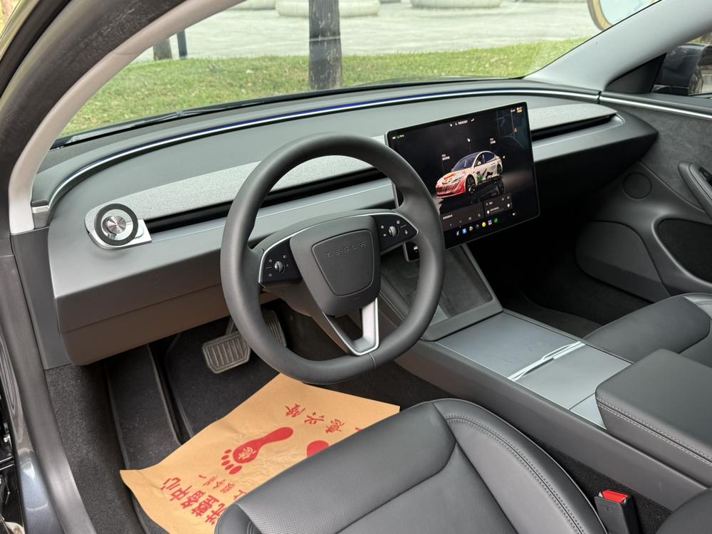 Tesla Model 3 2024 immagine di auto #13