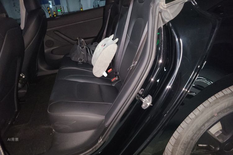 Tesla Model 3 2021 car image #19