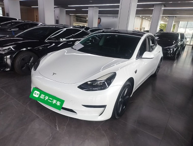 Tesla Model 3 2023 Tesla Model 3 2023 car image