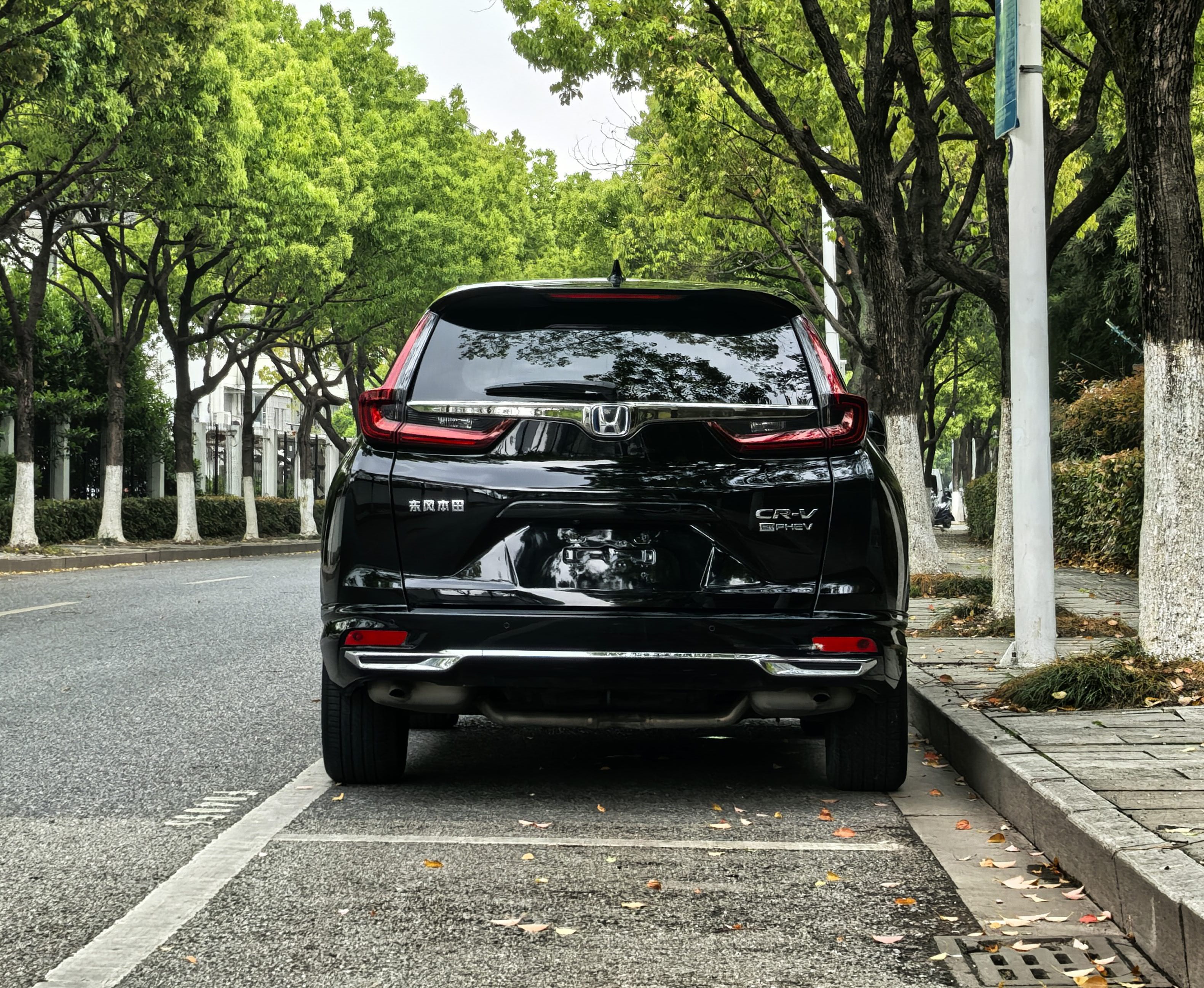 Honda CR-V New Energy 2023 car image #8