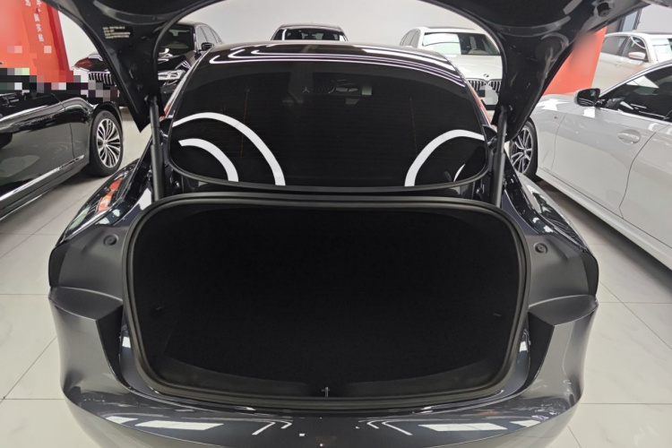 Tesla Model 3 2024 car image #21