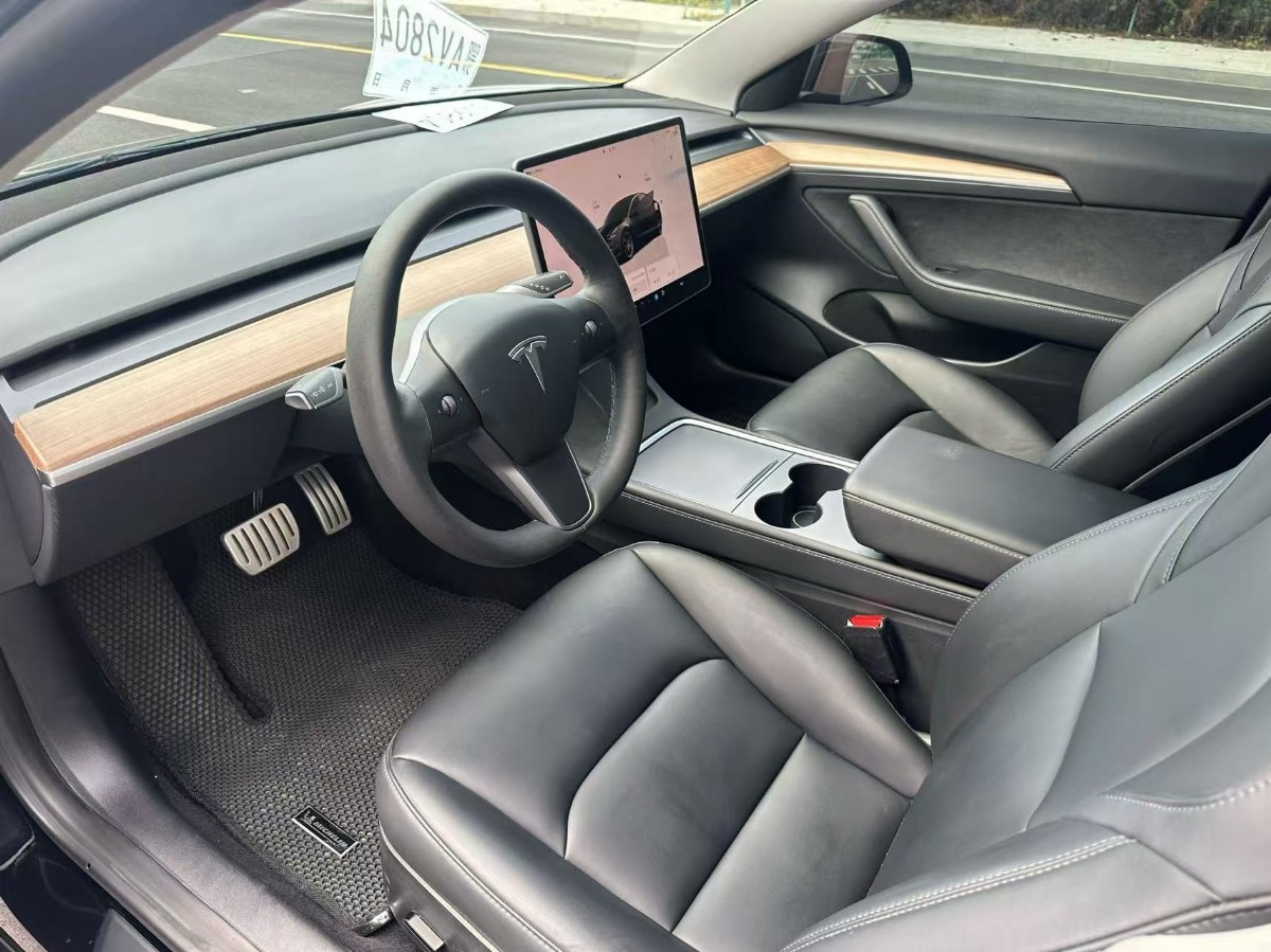 Tesla Model 3 2022 #3 Tesla Model 3 2022 car image #3