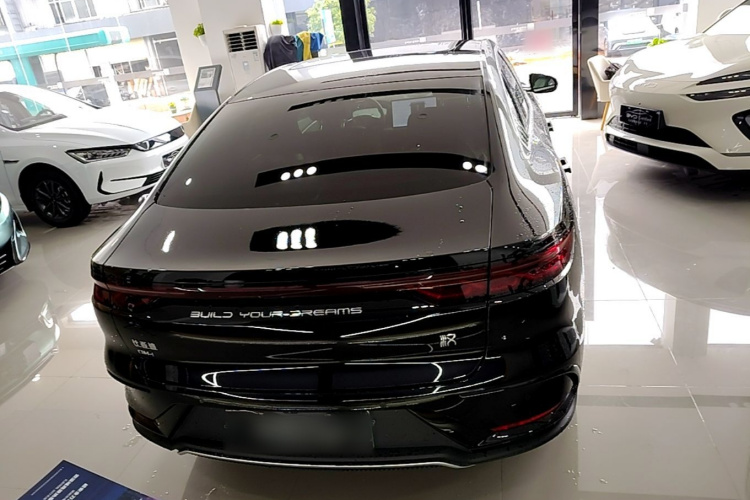 BYD Han 2024 car image #6