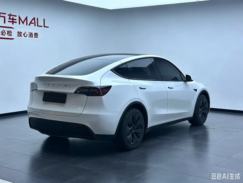 Tesla Model Y 2023 car image #9