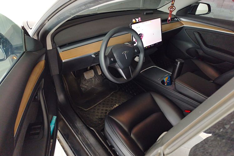 Tesla Model 3 2021 car image #12