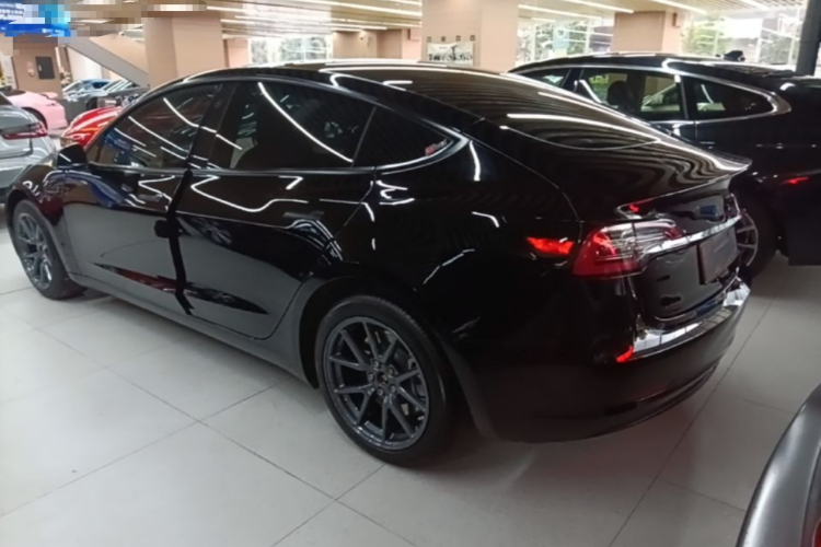 Tesla Model 3 2021 #5 Tesla Model 3 2021 car image #5