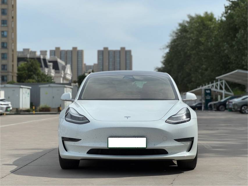 Tesla Model 3 2020 car image #2
