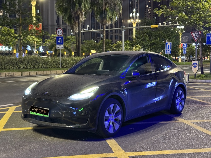 Tesla Model Y 2022 Tesla Model Y 2022 car image