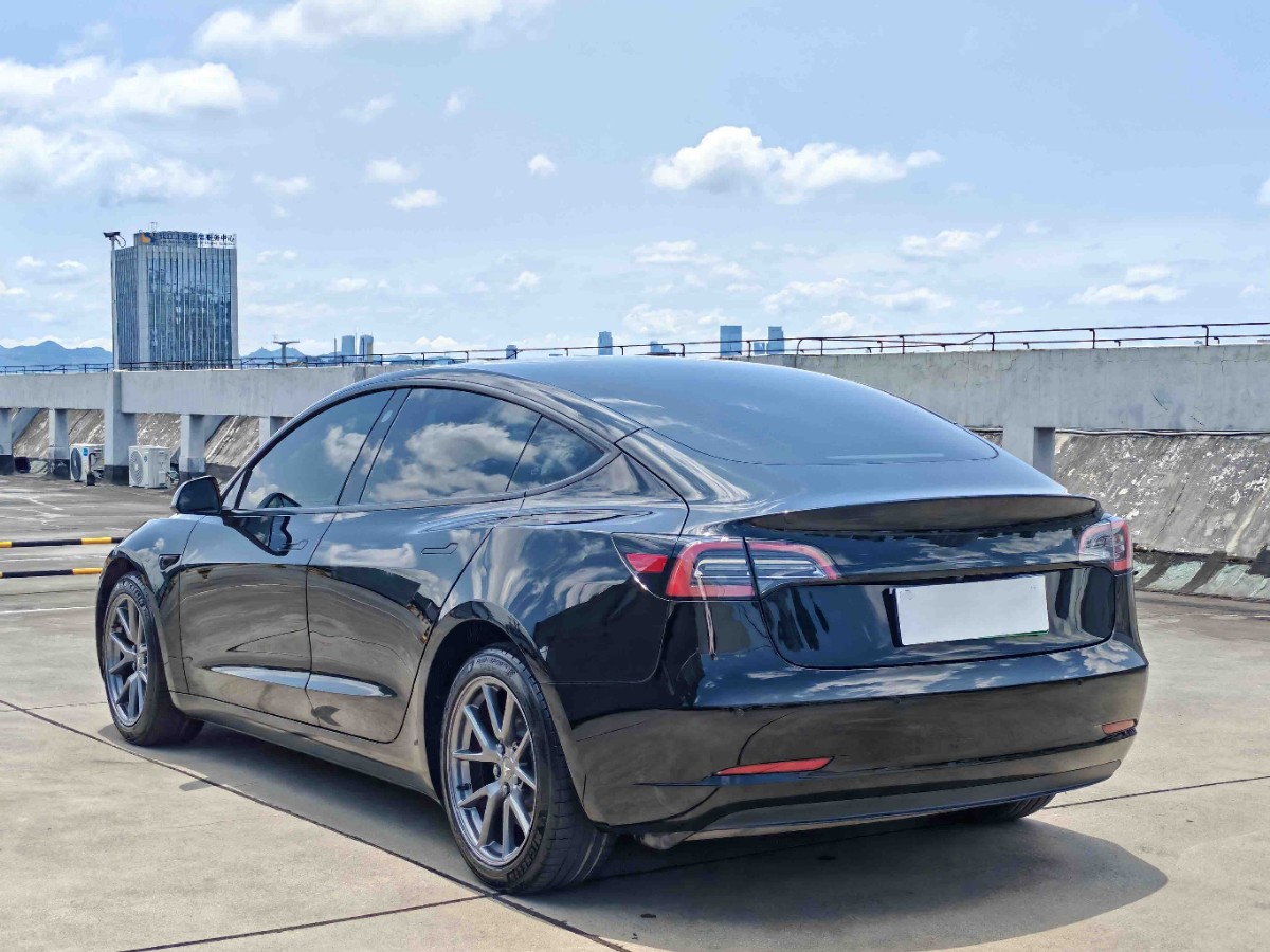 Tesla Model 3 2022 car image #4