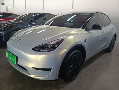 Tesla Model Y 2024 car image 