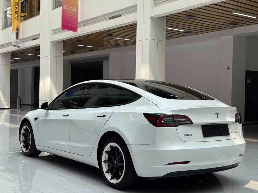 Tesla Model 3 2022 car image #7