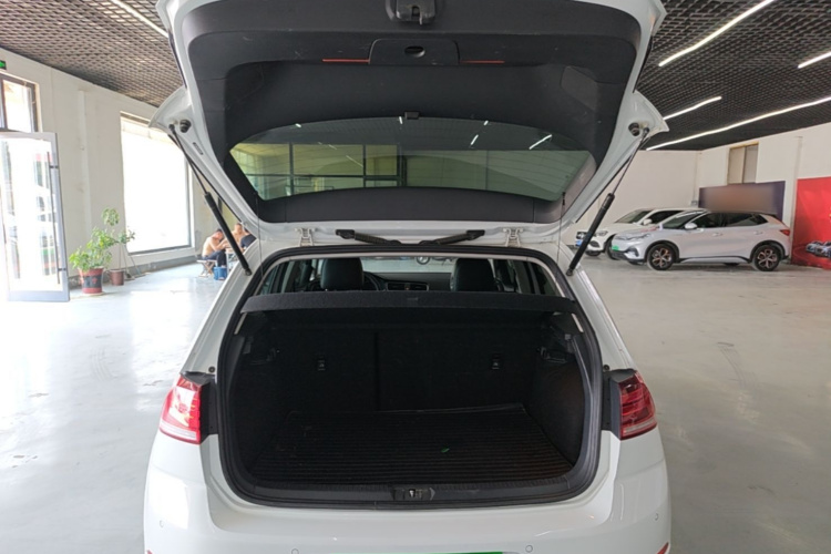 Volkswagen Golf 2020 car image #19