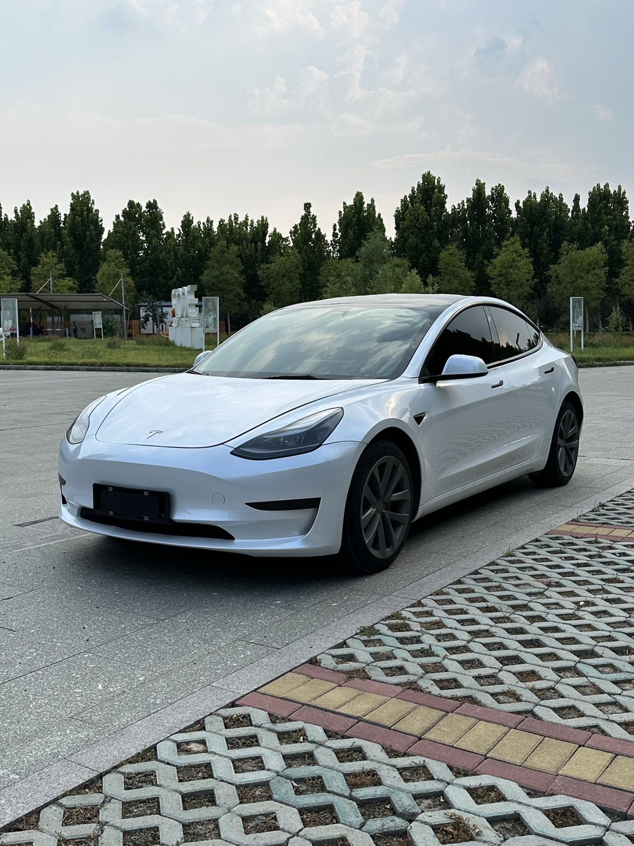 Tesla Model 3 2021 car image 