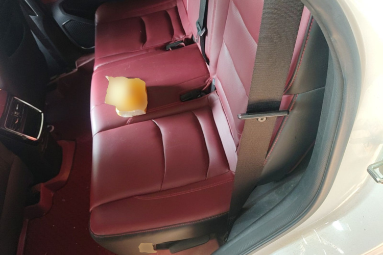 Jetour X70 PLUS 2022 imagem de carro #13