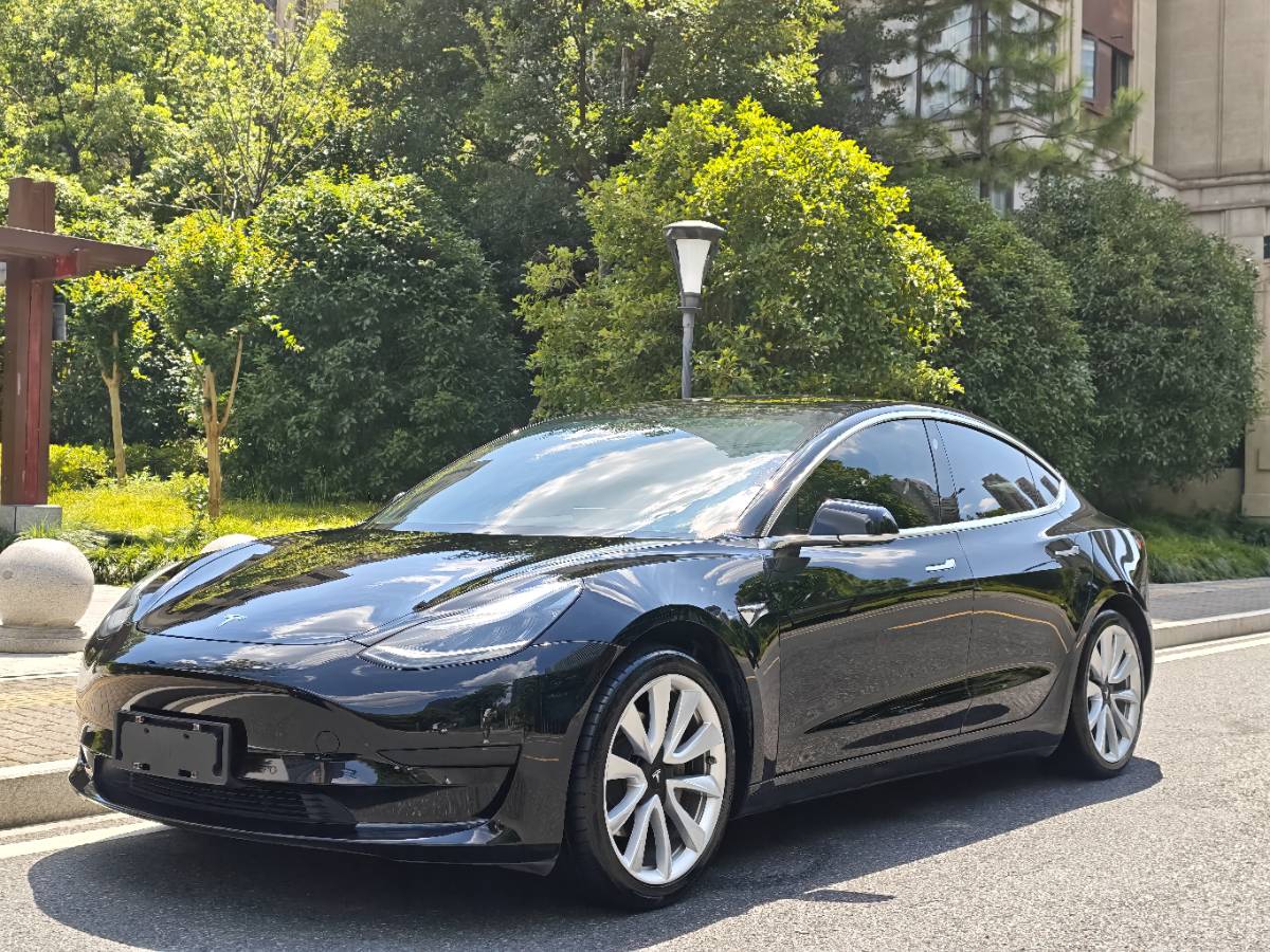 Tesla Model 3 2020 Tesla Model 3 2020 car image