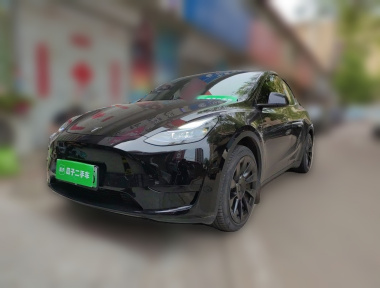 Tesla Model Y 2023 Tesla Model Y 2023 car image