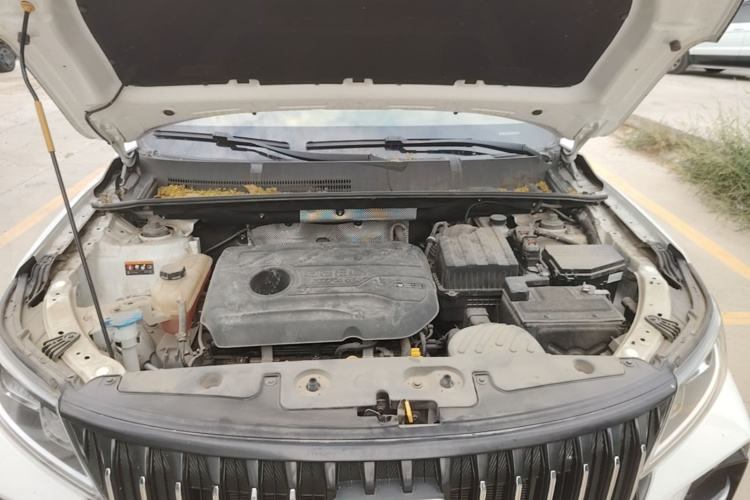 GEELY Vision X6 2021 car image #20