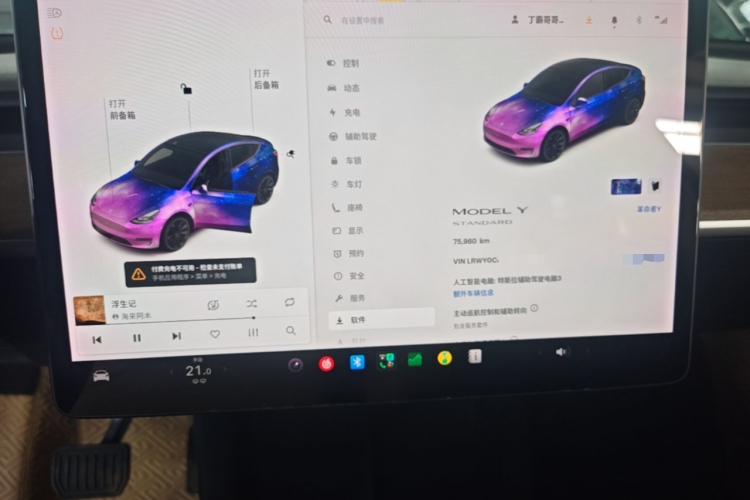 Tesla Model Y 2021 car image #12