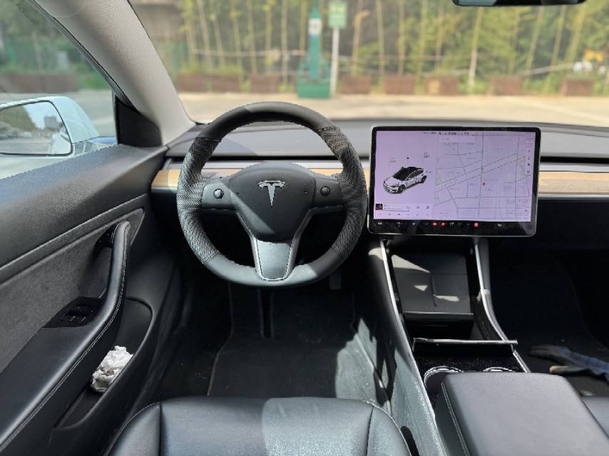 Tesla Model 3 2020 car image #10