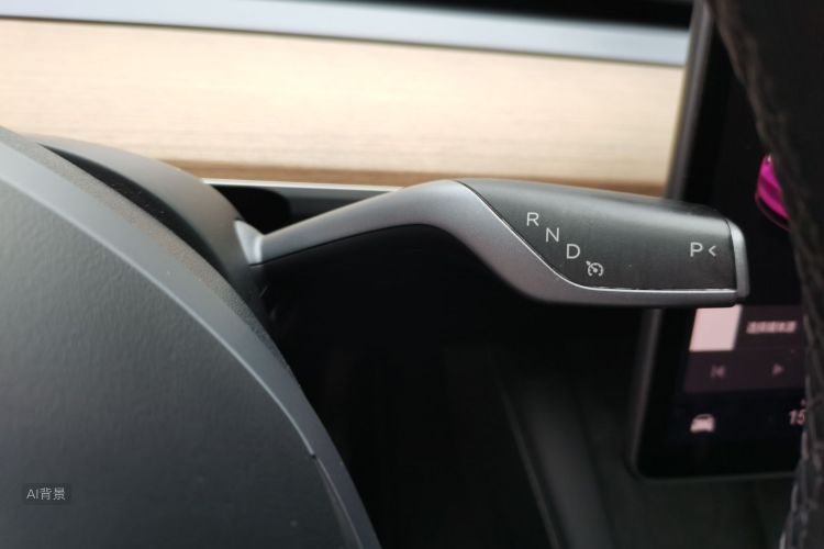 Tesla Model Y 2021 car image #16