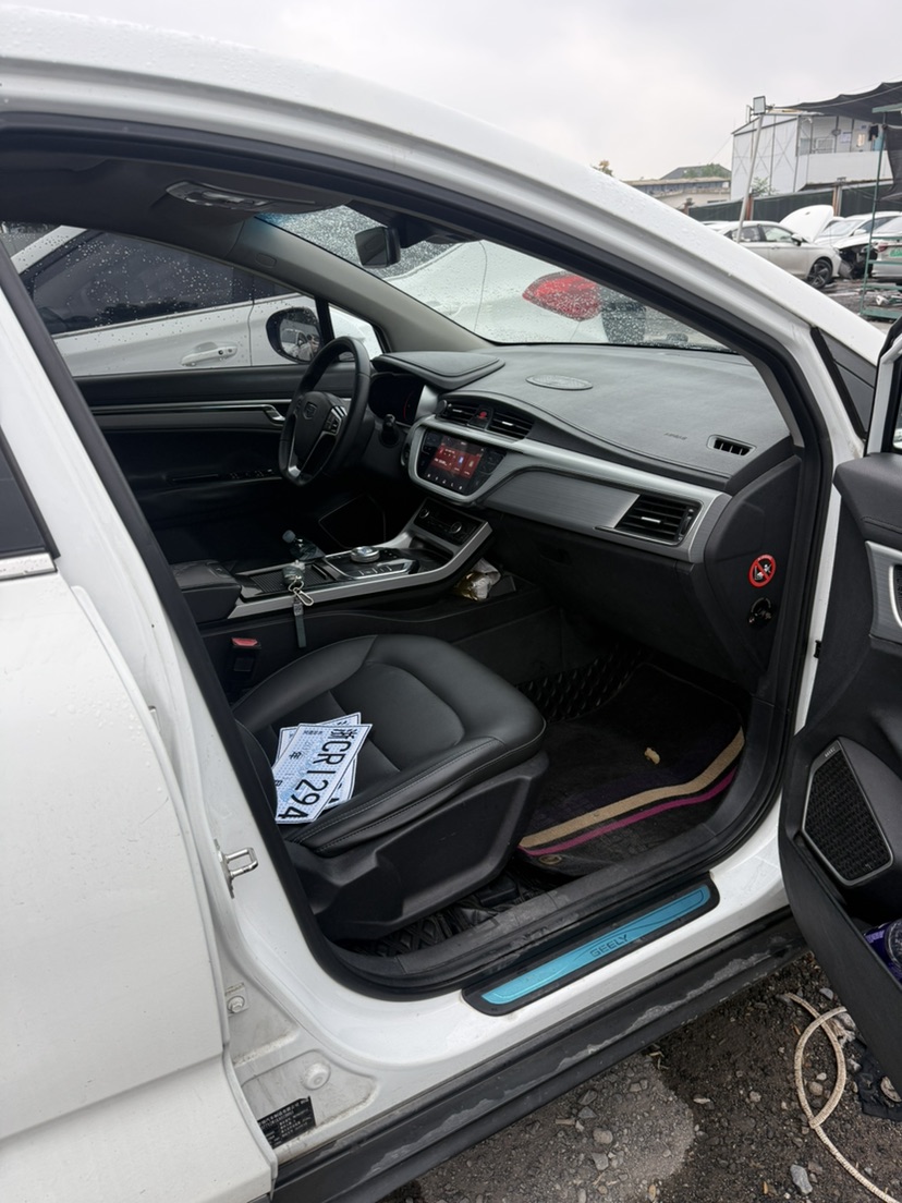 GEELY Emgrand GSe 2019 #8 GEELY Emgrand GSe 2019 صورة سيارة #8