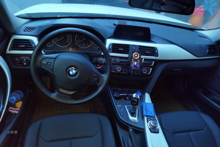 BMW 3 Series 2015 car image #11