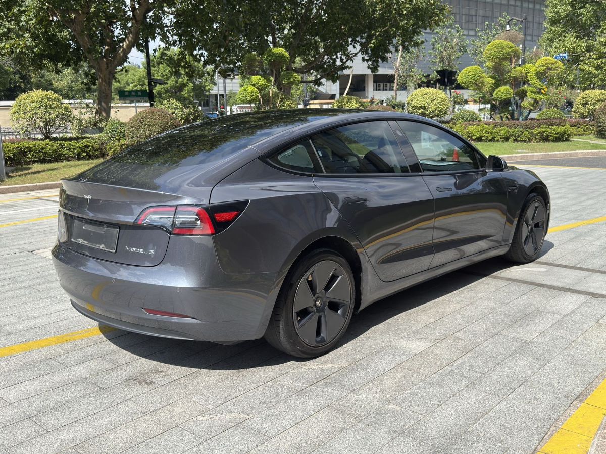 Tesla Model 3 2021 #7 Tesla Model 3 2021 car image #7