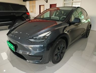 Tesla Model Y 2025 car image 