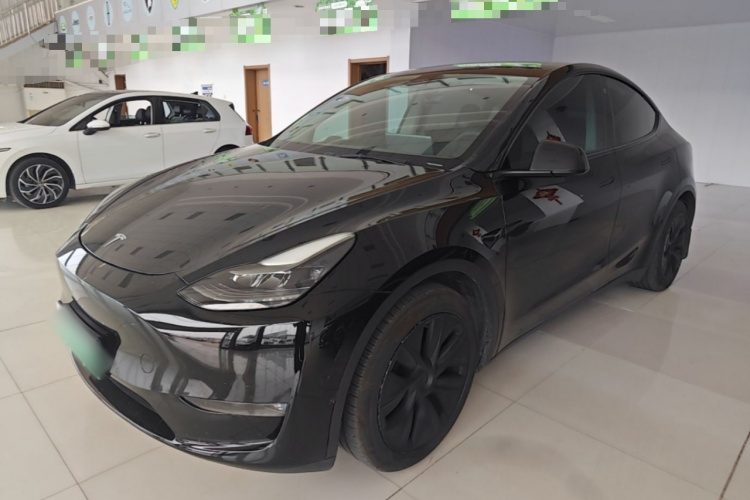 Tesla Model Y 2021 car image #2