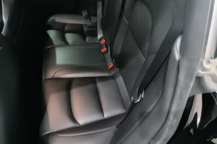 Tesla Model 3 2021 #17 Tesla Model 3 2021 car image #17