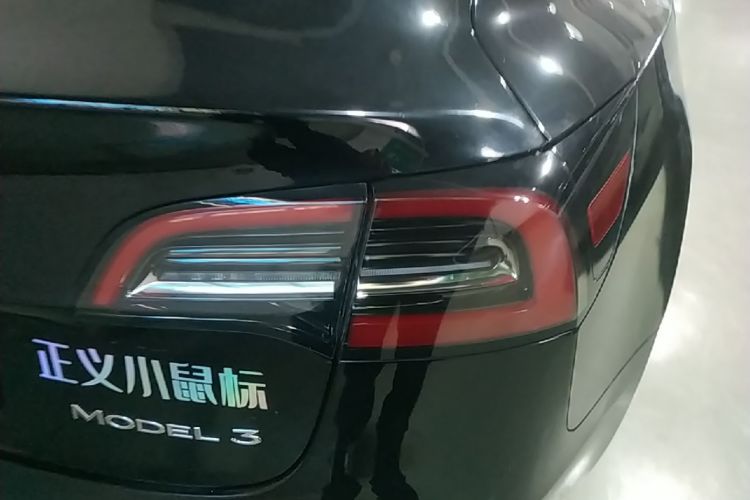 Tesla Model 3 2023 car image #8