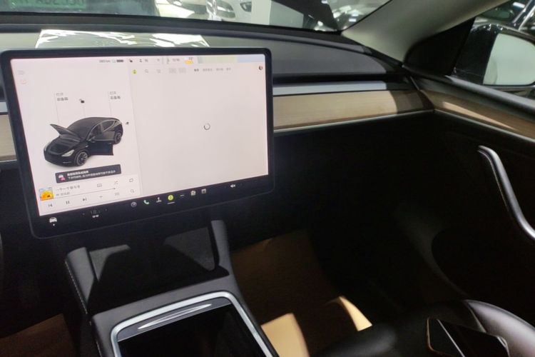 Tesla Model Y 2021 car image #13