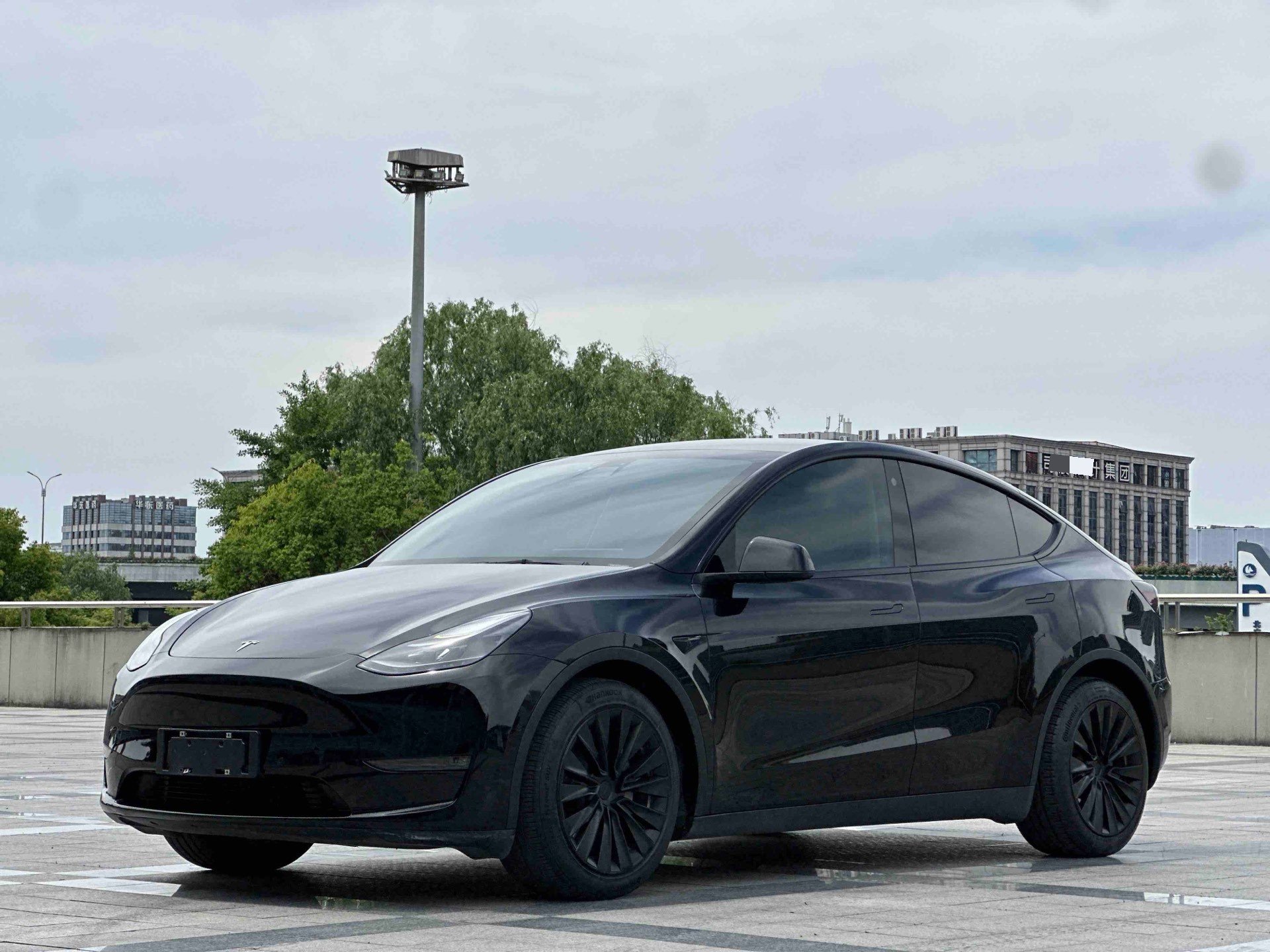 Tesla Model Y 2021 immagine di auto 