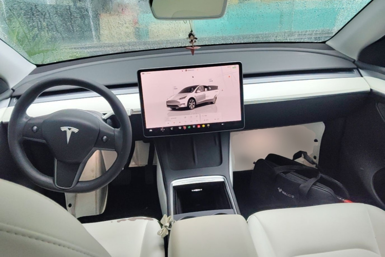 Tesla Model Y 2023 car image #10