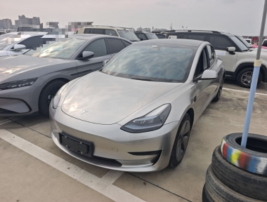 Tesla Model 3 2023 Tesla Model 3 2023 car image
