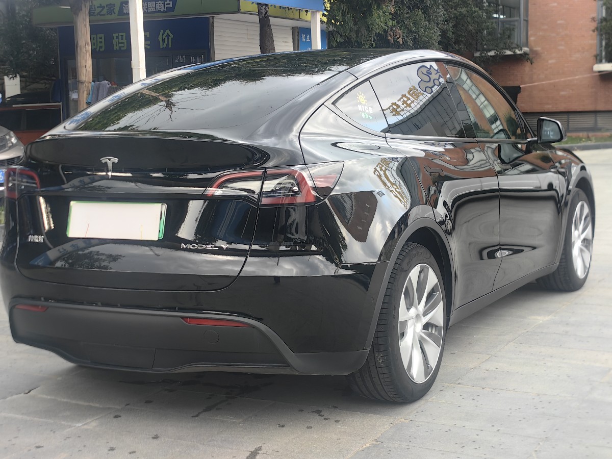 Tesla Model Y 2022 immagine di auto #4